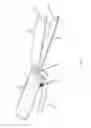 Fig. 06 - Spatula Knife Utensil