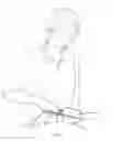Fig. 08 - Spatula Knife Utensil