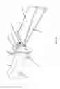 Fig. 11 - Spatula Knife Utensil