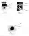 Fig. 10 - Liquid filtration vacuum