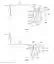 Fig. 06 - System and method for determining stroke volume of a patient