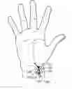Fig. 01 - Apparatus and method for detecting biometric information