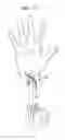 Fig. 18 - Apparatus and method for detecting biometric information