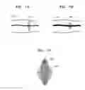 Fig. 08 - APPARATUS AND METHOD FOR ACQUIRING BIO-INFORMATION