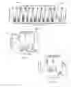 Fig. 06 - System, apparatus and methods for data collection and assessing outcomes