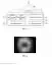 Fig. 02 - Apparatus and method for processing physiological signal