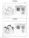 Fig. 35 - Diagnosis supporting device and diagnosis supporting method