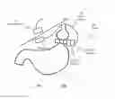 Fig. 11 - Apparatus and methods for corrective guidance of eating behavior after weight loss surgery