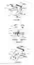 Fig. 04 - Three dimensional (3D) vector flow imaging with BiPlane phased array transducer
