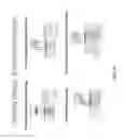 Fig. 13 - ULTRASONIC ARRAY FOR BONE SONOGRAPHY