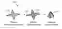 Fig. 01 - Bioresorbable self-folding tools for surgery, single cell capture and manipulation