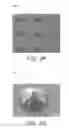 Fig. 06 - Bioresorbable self-folding tools for surgery, single cell capture and manipulation