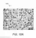 Fig. 18 - Bioresorbable self-folding tools for surgery, single cell capture and manipulation