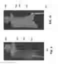 Fig. 10 - Orthopedic tools for implantation