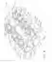 Fig. 08 - Staple cartridge comprising a tissue thickness compensator