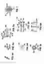 Fig. 06 - Multi-clip applier