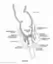 Fig. 19 - CLOSURE DEVICE AND METHOD