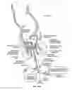 Fig. 32 - CLOSURE DEVICE AND METHOD