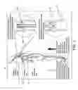 Fig. 02 - METHOD AND APPARATUS FOR TREATING VARICOSE VEINS