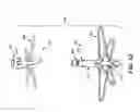 Fig. 16 - METHOD AND APPARATUS FOR TREATING VARICOSE VEINS