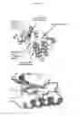 Fig. 19 - Pneumatic tourniquet