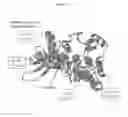 Fig. 28 - Pneumatic tourniquet