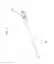 Fig. 08 - Orthopedic clamp and extension rod