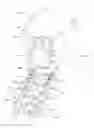 Fig. 01 - Articulating spinal rod system