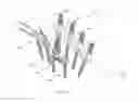 Fig. 28 - Spinal deformity correction