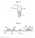 Fig. 03 - Intermaxillary fixation device and method of using same
