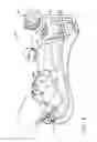 Fig. 03 - Methods for contemporaneous assessment of renal denervation