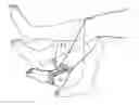 Fig. 01 - Determining the Positional Information of Characteristic Points of a Leg for Osteotomy