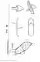 Fig. 09 - INTRAVASCULAR DEVICES