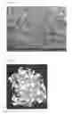 Fig. 03 - Component consisting of ceramics, comprising pore channels