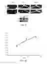 Fig. 09 - CELL-NANOFIBER COMPOSITE AND CELL-NANOFIBER-HYDROGEL COMPOSITE AMALGAM BASED ENGINEERED INTERVERTEBRAL DISC