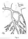 Fig. 03 - Medical stent