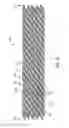 Fig. 10 - VASCULAR IMPLANT FOR TREATING ANEURYSMS
