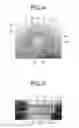 Fig. 05 - Stent