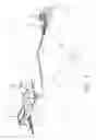 Fig. 03 - Traction device for neck physical therapy