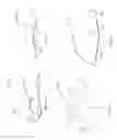 Fig. 08 - Fecal matter containment device