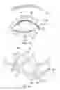 Fig. 19 - Controller for dry eye treatment systems
