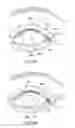 Fig. 20 - Controller for dry eye treatment systems