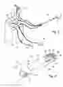 Fig. 02 - Devices useable for treatment of glaucoma and other surgical procedures