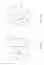 Fig. 22 - Method and apparatus for rotating an absorbent article