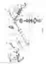 Fig. 10 - Multi-axis joint for a spar of a limb holder