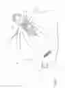 Fig. 03 - BITING AND COMFORTER DEVICE FOR INFANTS