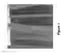Fig. 02 - Coloring agents and methods of use thereof