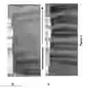 Fig. 03 - Coloring agents and methods of use thereof