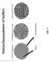 Fig. 02 - Compositions for multiphase, staggered, or sustained release of an active substance