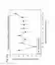 Fig. 81 - HUMAN THERAPEUTIC AGENTS